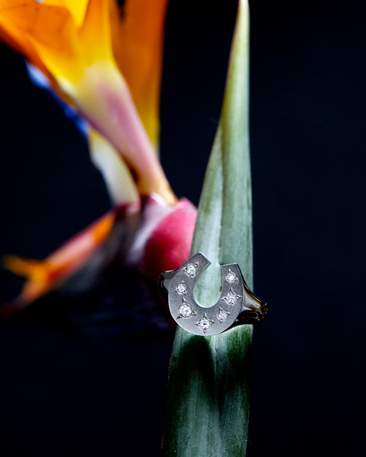 Blessed Hoof M #0  /  JPsize 10 to 16