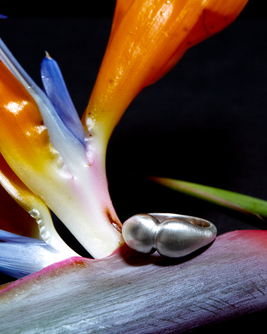 The Hump M #99  /  JPsize 10 to 16