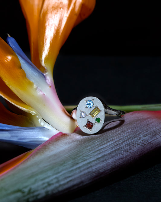 Nebula Oval L #1  /  JPsize 17 to 23